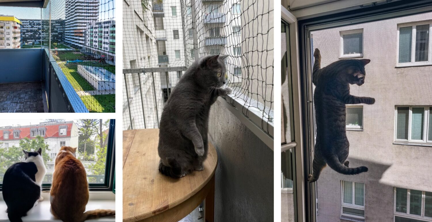Katzenschutz für Fenster, Türen und Balkone